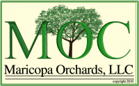 Maricopa Orchards Logo